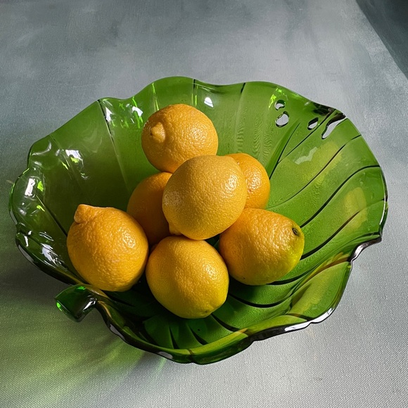 Vintage Villa D’Este Home Tivoli La Cucina Plastic Bowl Monstera Leaf